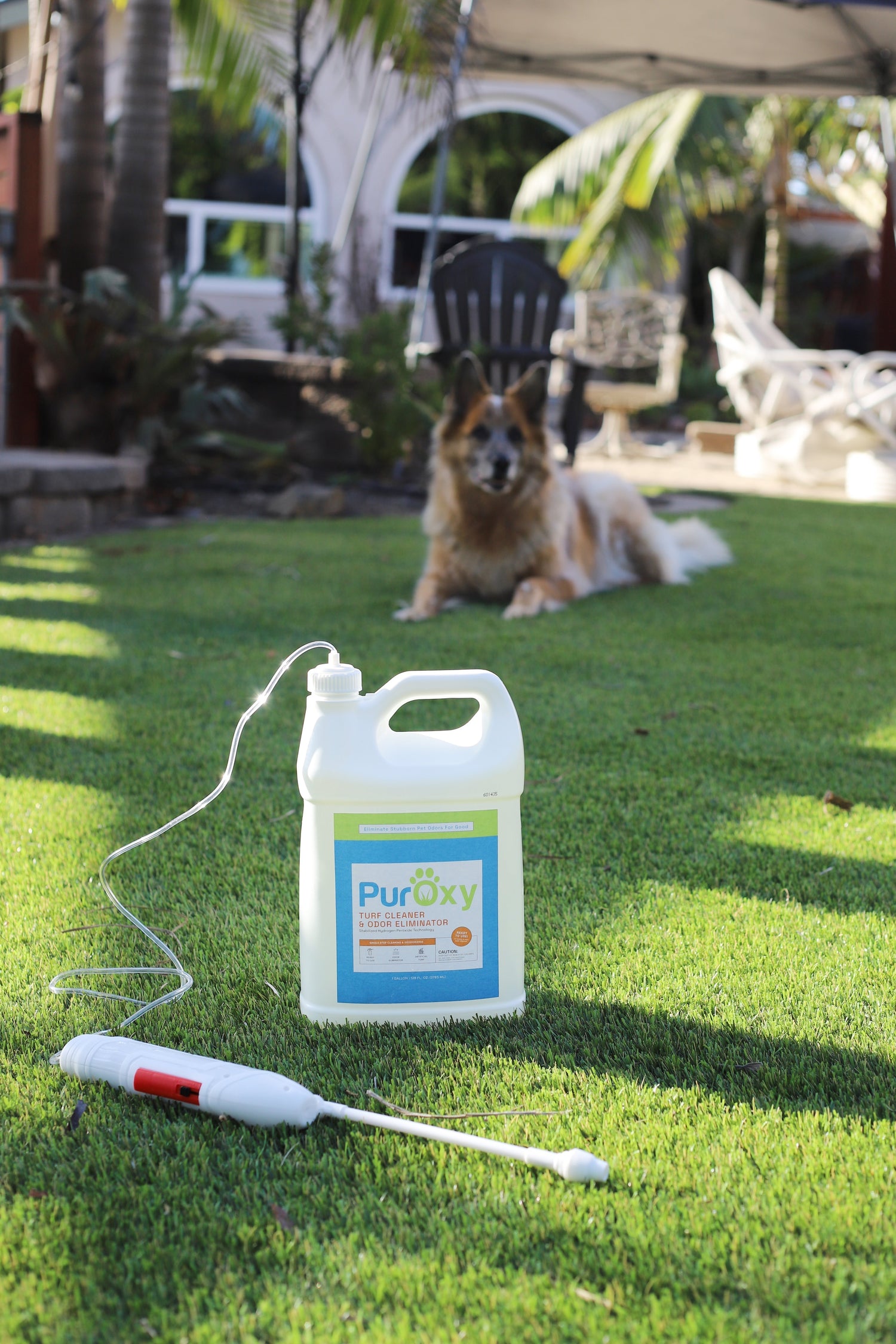 Bottle of PurOxy on artificial turf with dog in background