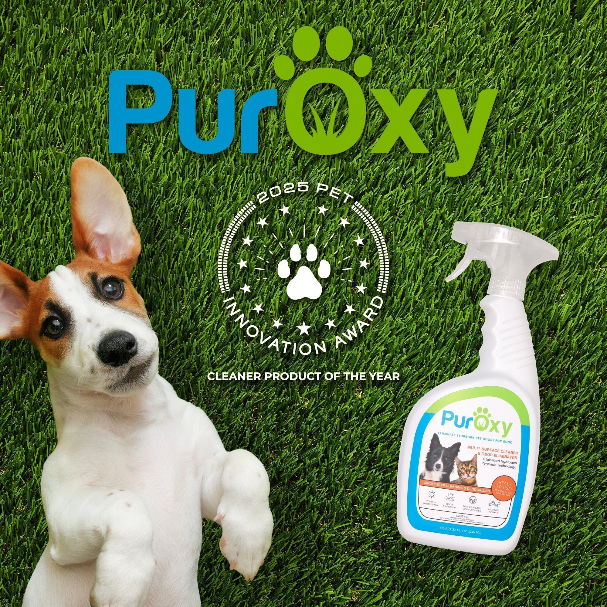 Dog on artificial turf with PurOxy cleaner and 2025 Pet Innovation Award