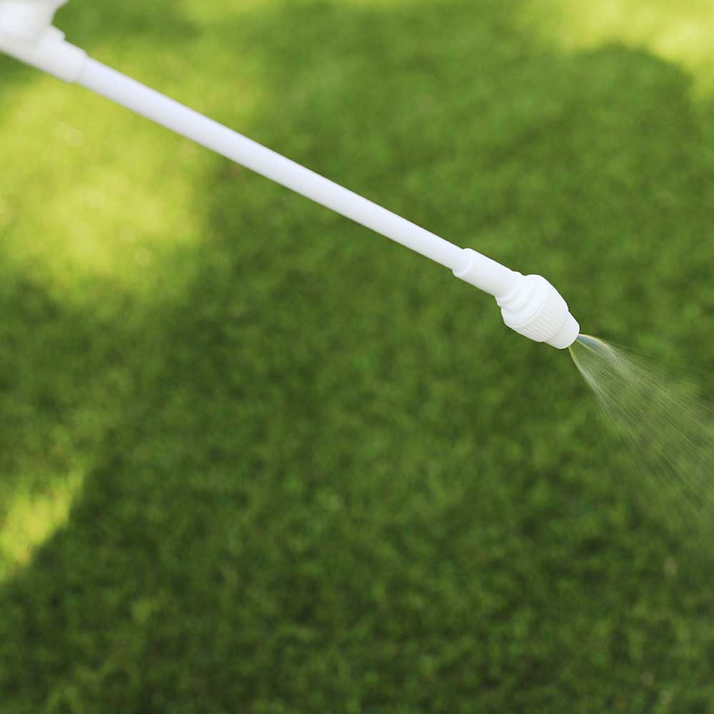 Power Wand Sprayer